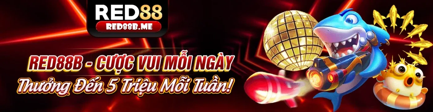N1883 Đăng Nhập Di Động Tối Ưu